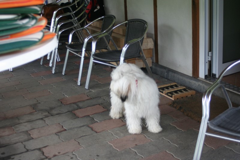../Images/Bild 030.jpg